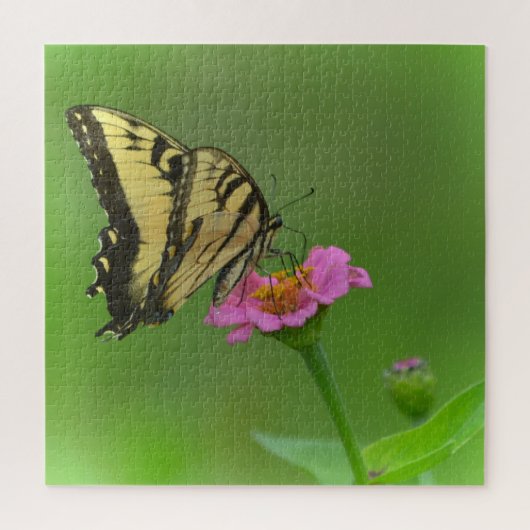 Prachtige vlinder op Zinnia Legpuzzel (Verticaal)