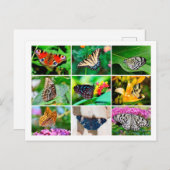 Prachtige vlinders collage Briefkaart (Voorkant / Achterkant)