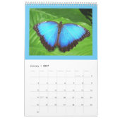 Prachtige vlinders en rupsen kalender (Jan 2027)