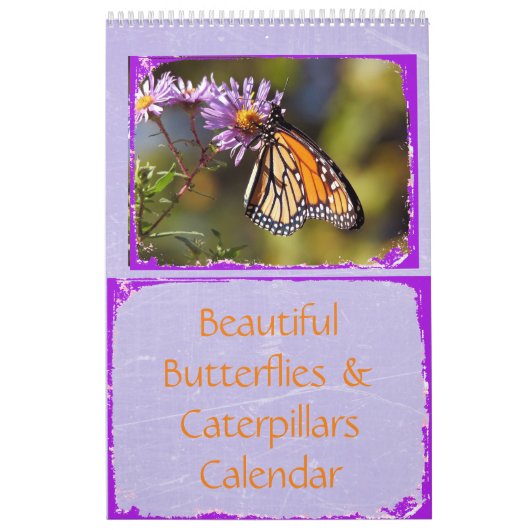 Prachtige vlinders en rupsen kalender (Hoes)