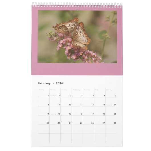 Prachtige vlinders en rupsen kalender (Feb 2026)