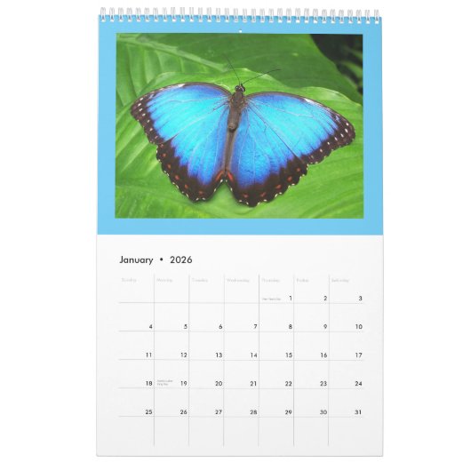 Prachtige vlinders en rupsen kalender (Jan 2026)
