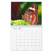 Prachtige vlinders fotografie kalender (Jan 2027)