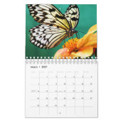 Prachtige vlinders fotografie kalender (Mar 2027)