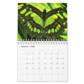 Prachtige vlinders fotografie kalender (Feb 2026)