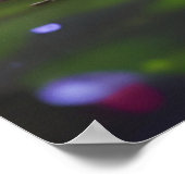 Prachtige, vloeiende witte kat poster (Hoek)