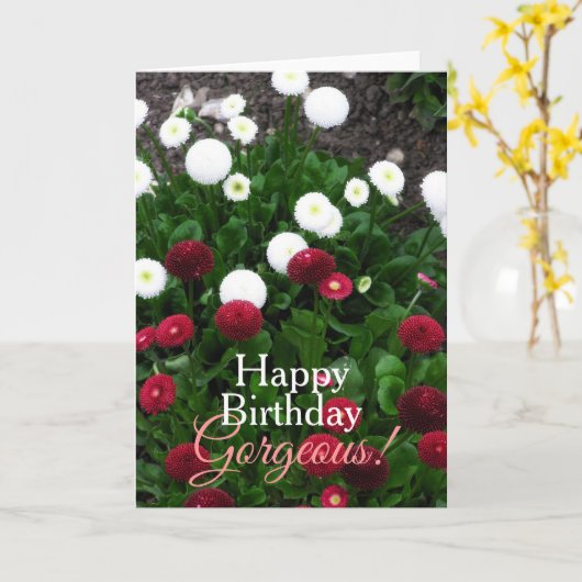 Prachtige Vloertuinboer Birthday Kaart (Gele Bloem)