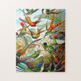 Prachtige  vogel afdrukken Vogelpuzzel Legpuzzel