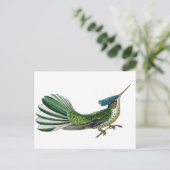 Prachtige  vogel van het paradijs afbeelding briefkaart (Staand voorkant)