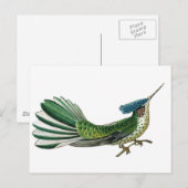 Prachtige  vogel van het paradijs afbeelding briefkaart (Voorkant / Achterkant)