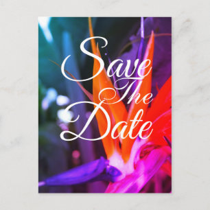 Prachtige Vogel Van Paradijs Trouw Save The Date Aankondigingskaart