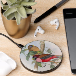 Prachtige vogelillustratie kleurrijk