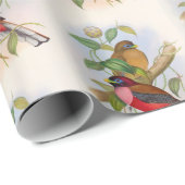 Prachtige vogelillustratie kleurrijk cadeaupapier (Rol Hoek)