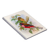 Prachtige  vogelillustratie kleurrijk notitieboek (Rechterzijde)