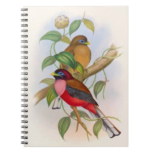 Prachtige  vogelillustratie kleurrijk notitieboek (Voorkant)