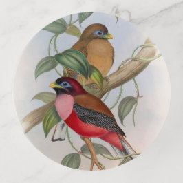 Prachtige vogelillustratie kleurrijk sierschaaltjes