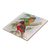 Prachtige  vogelillustratie kleurrijk tegeltje (Zijkant)