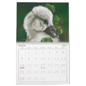 Prachtige vogelkunst van MM Anderson Kalender (Mar 2027)