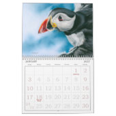 Prachtige vogelkunst van MM Anderson Kalender (Jan 2027)
