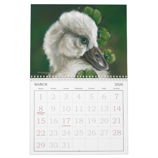 Prachtige vogelkunst van MM Anderson Kalender (Mar 2026)