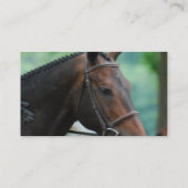 Prachtige Warmblood Horse Mailing Labels (Achterkant)
