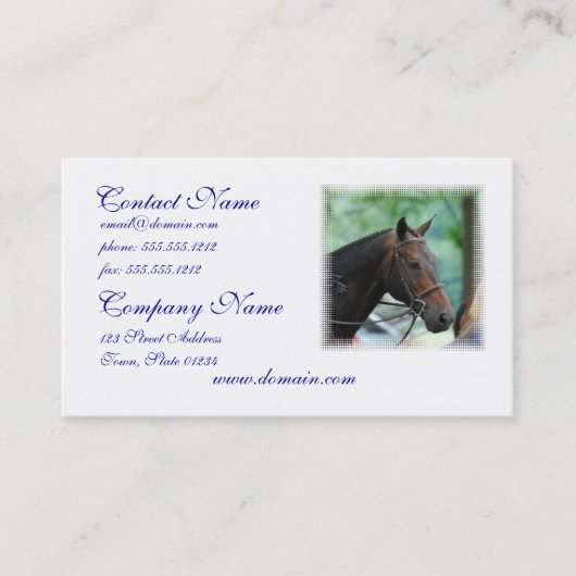 Prachtige Warmblood Horse Mailing Labels (Voorkant)