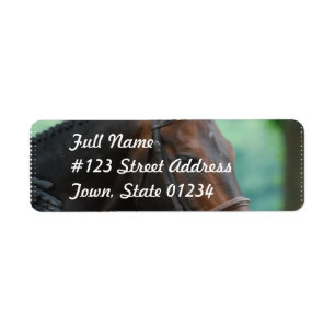 Prachtige Warmblood Horse Mailing Labels