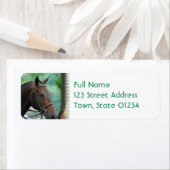 Prachtige Warmblood Paard Mailing Labels (Insitu)
