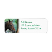 Prachtige Warmblood Paard Mailing Labels (Voorkant)