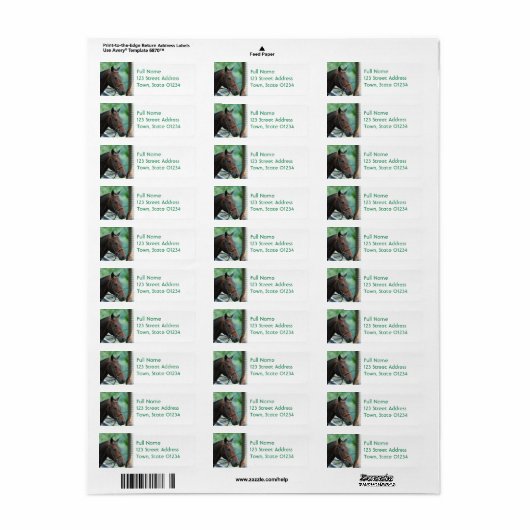 Prachtige Warmblood Paard Mailing Labels (Full Sheet)