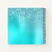 Prachtige waterblauwe munt en turquoise glitter dr notitieboek (Achterkant)