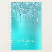 Prachtige waterblauwe munt en turquoise glitter dr planner (Voorkant)