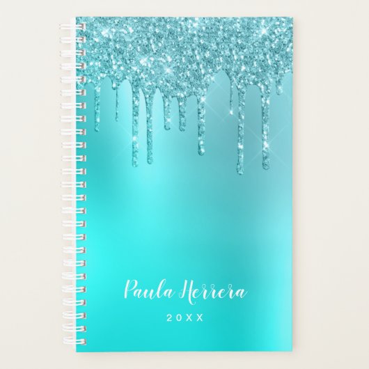 Prachtige waterblauwe munt en turquoise glitter dr planner (Voorkant)