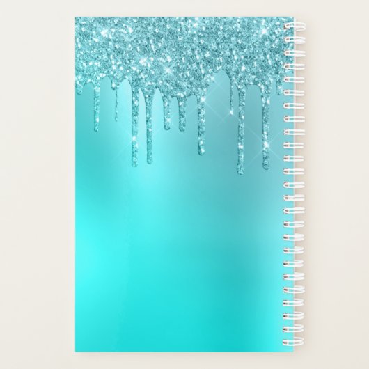 Prachtige waterblauwe munt en turquoise glitter dr planner (Achterkant)