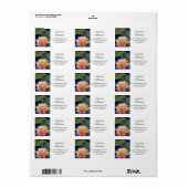 Prachtige waterloeiziger in het adres van Waterver Etiket (Full Sheet)