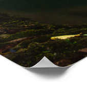 Prachtige waterval met zonlicht gloed poster (Hoek)