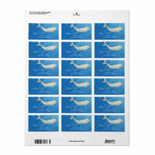 Prachtige Waterverf Beluga Whale Adres Etiket (Full Sheet)