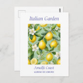 Prachtige Waterverf citroenboom Briefkaart (Voorkant / Achterkant)