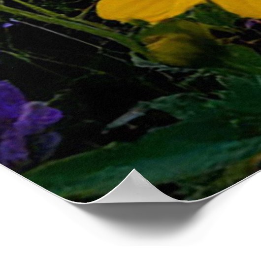 Prachtige weide met levendige bloemen bij zonsopga poster (Hoek)