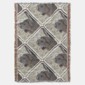 Prachtige Weimaraner Deken (Voorkant Verticaal)