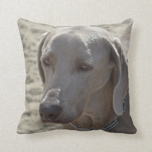 Prachtige Weimaraner Kussen