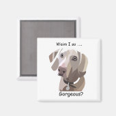 Prachtige Weimaraner magnet (Voorkant / Achterkant)