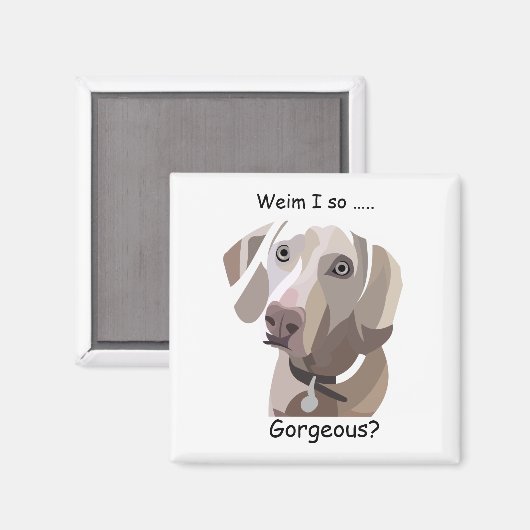 Prachtige Weimaraner magnet (Voorkant / Achterkant)