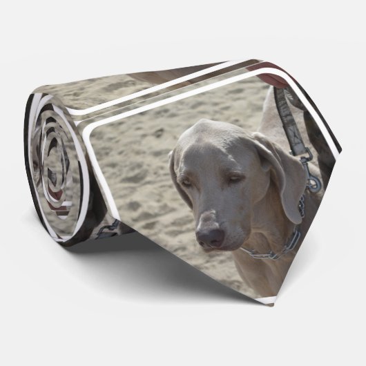 Prachtige Weimaraner Stropdas (Opgerold)