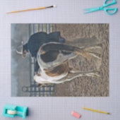 Prachtige Westerne Horse Cowboy Bond Tissuepapier (Craft)