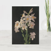 Prachtige  White Easter Lilies Kaart (Voorkant)
