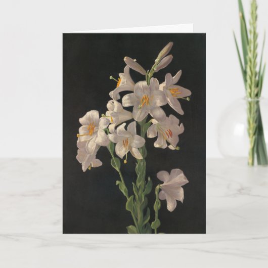 Prachtige  White Easter Lilies Kaart (Voorkant)