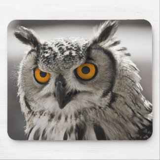 Prachtige White Owl Mousepad Muismat
