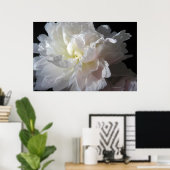 Prachtige White Peony Blossom Poster Prints (Thuiskantoor)
