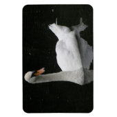 Prachtige White Swan Premium Magnet Magneet (Verticaal)